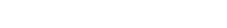 河北道生国际货运代理公司
